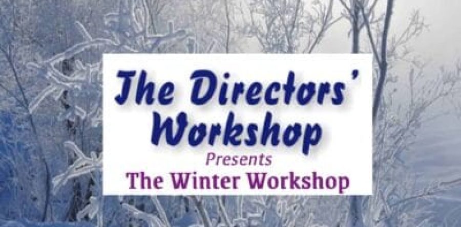 The Directors’ Workshop