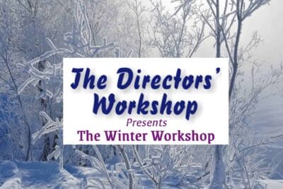 The Directors’ Workshop