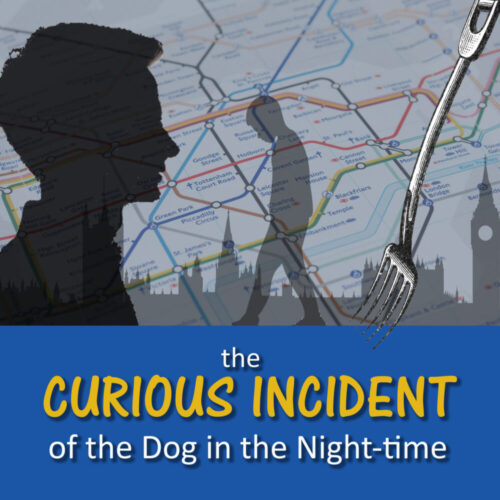 The Curious Incident